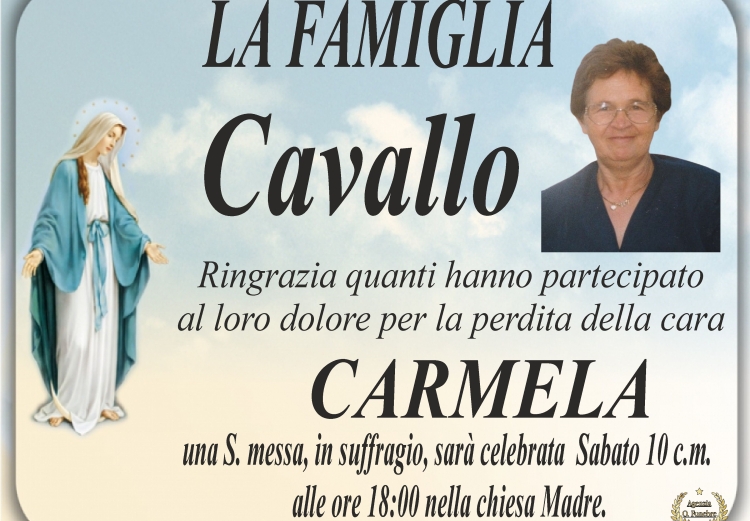 Ringraziamento Cavallo 